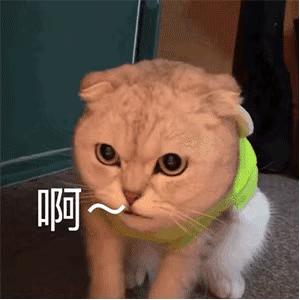 DƬ